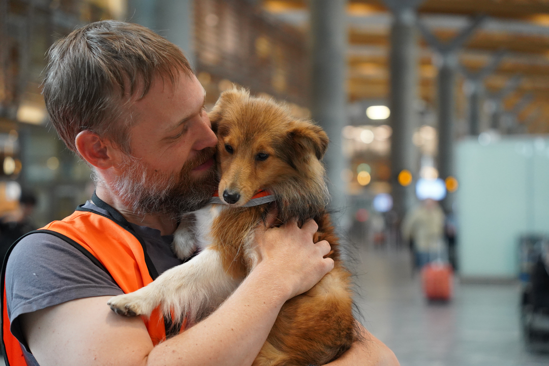 En mann med kort hår som står i t-skjorte og oransje refleksvest inne i terminalen og koser med en liten lysebrun hund som han holder i armene.